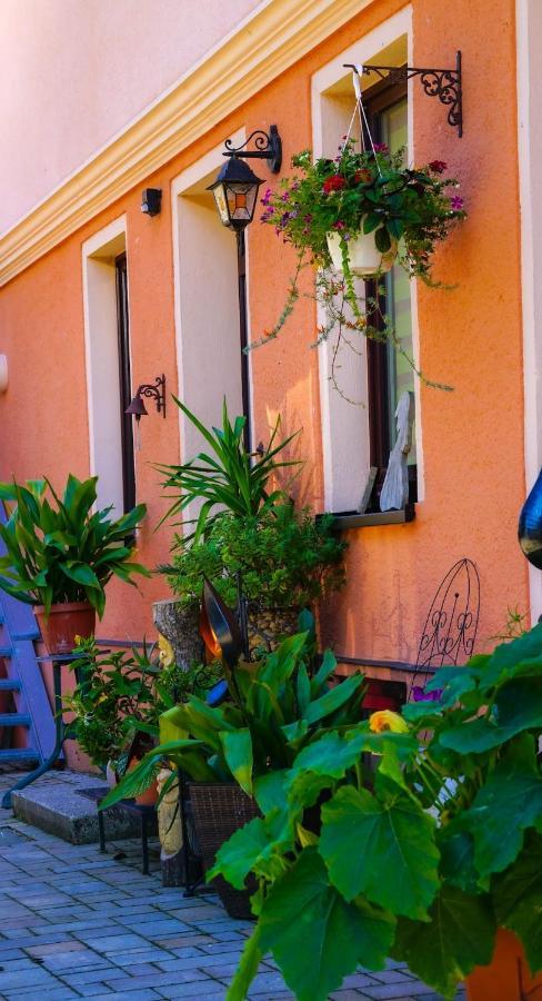 Sinnes Wandel Hof Serka Grimma Ngoại thất bức ảnh